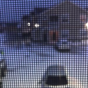 Most listings are crossposted!